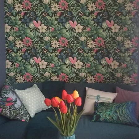 Dragon Bridge Beauty 公寓 卢布尔雅那