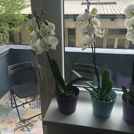 Dragon Bridge Beauty Λιουμπλιάνα